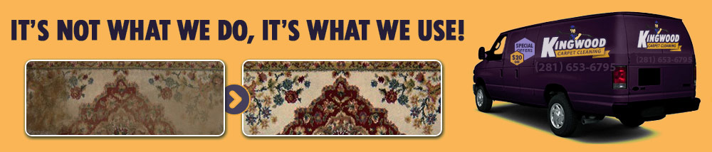 Professional Rug Cleaning Services